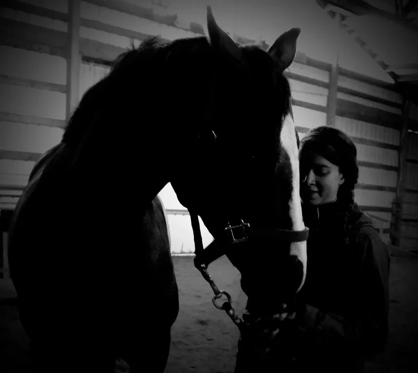 A person sharing a quiet moment with a horse inside the Harmony Ranch arena