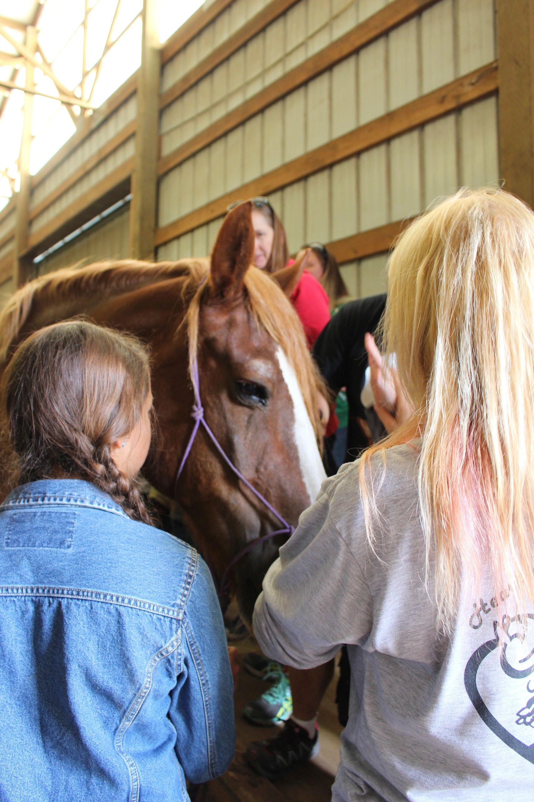 Children petting a horse at Harmony Ranch