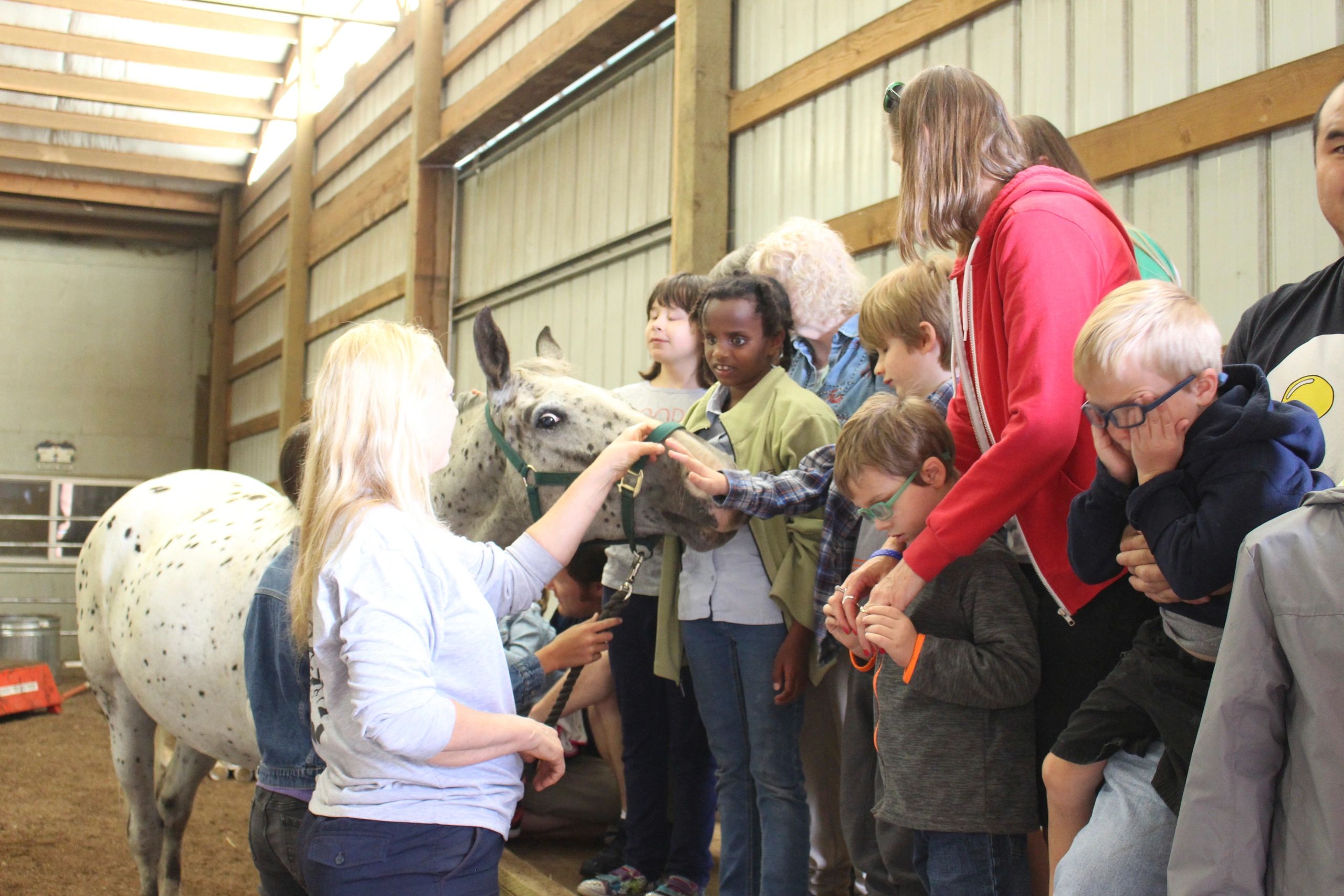 Children and adults interacting with a horse at Harmony Ranch